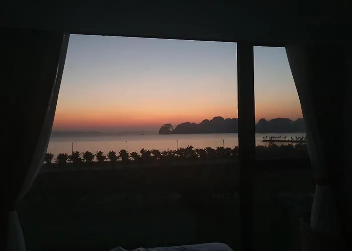 Hotel Golden Palm 3*