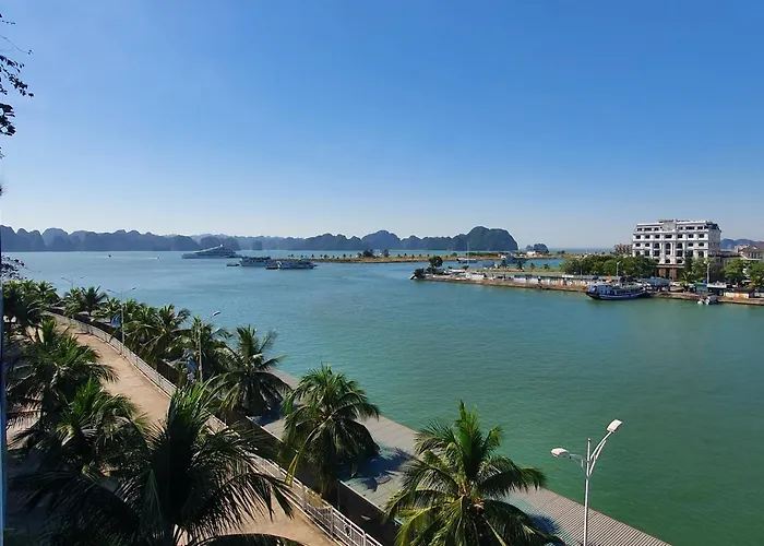 Golden Palm